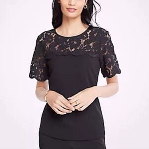 Ann Taylor Yoko Lace Trim Short Sleeve Top Blouse Size XS Office Classic Chic